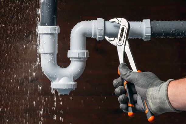 Professional Plumbing technician working in Le Roy, MN